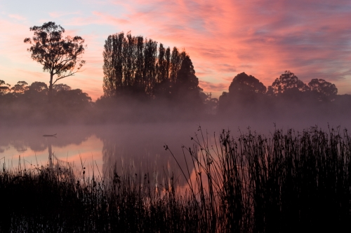 Gosling Creek Reserve